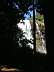 Doi Inthanon 009.jpg